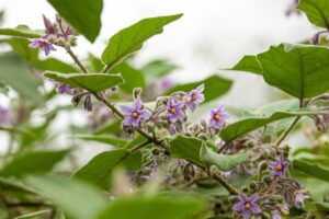 肘の内側が痛い時にフォアハンドを改善する方法は？