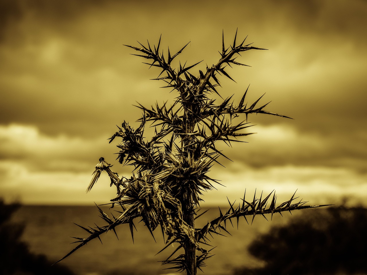 肘の痛みを改善するための成功例とは？